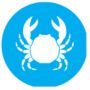 Crustaceos