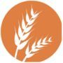gluten